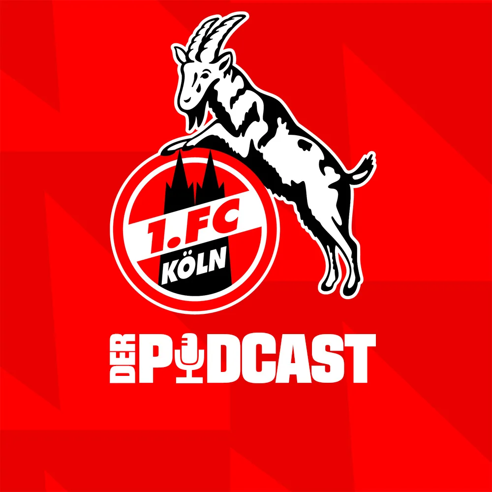 250522 podcast-friemel-harchaoui-33 (1)