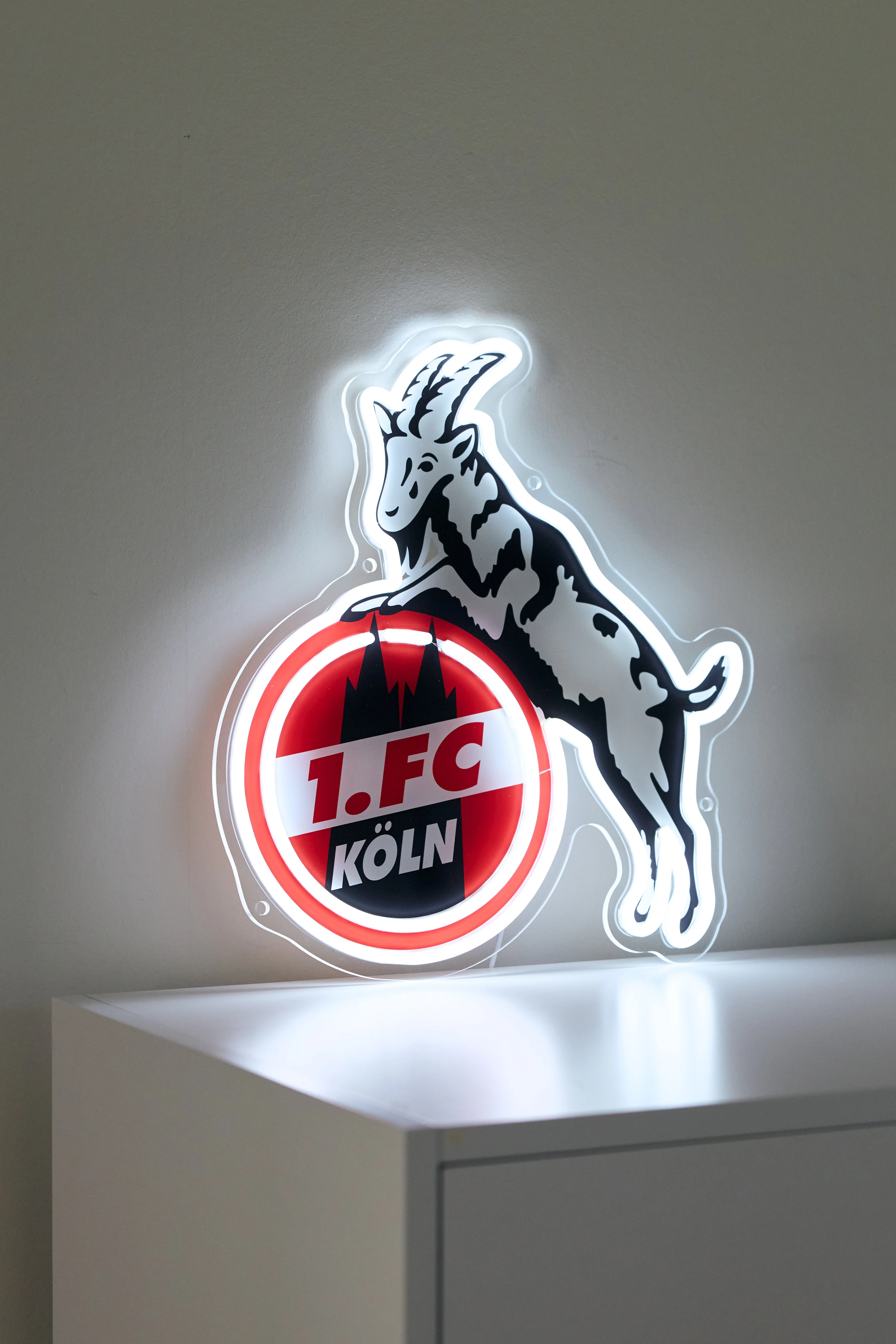 Fanshop: Fanartikel