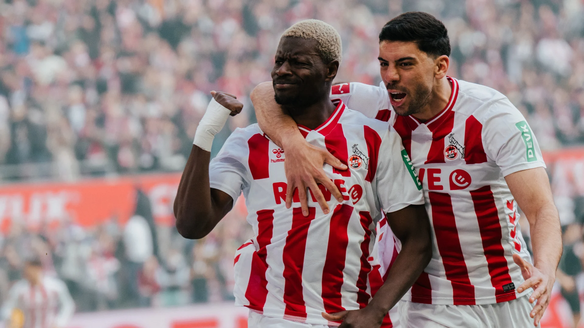 Startseite Bühne groß: hummel Sale