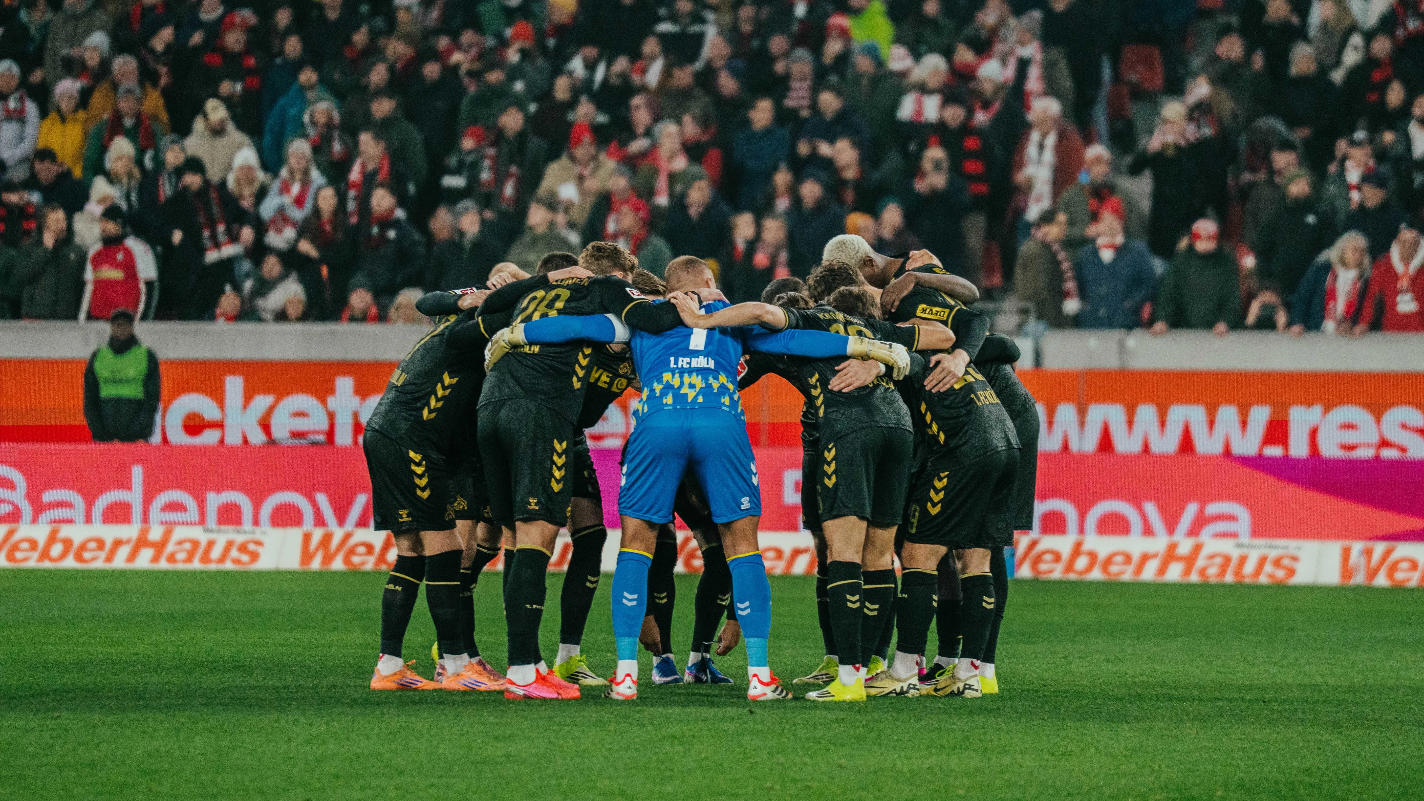 VFB_Fakten_Anriss.jpg