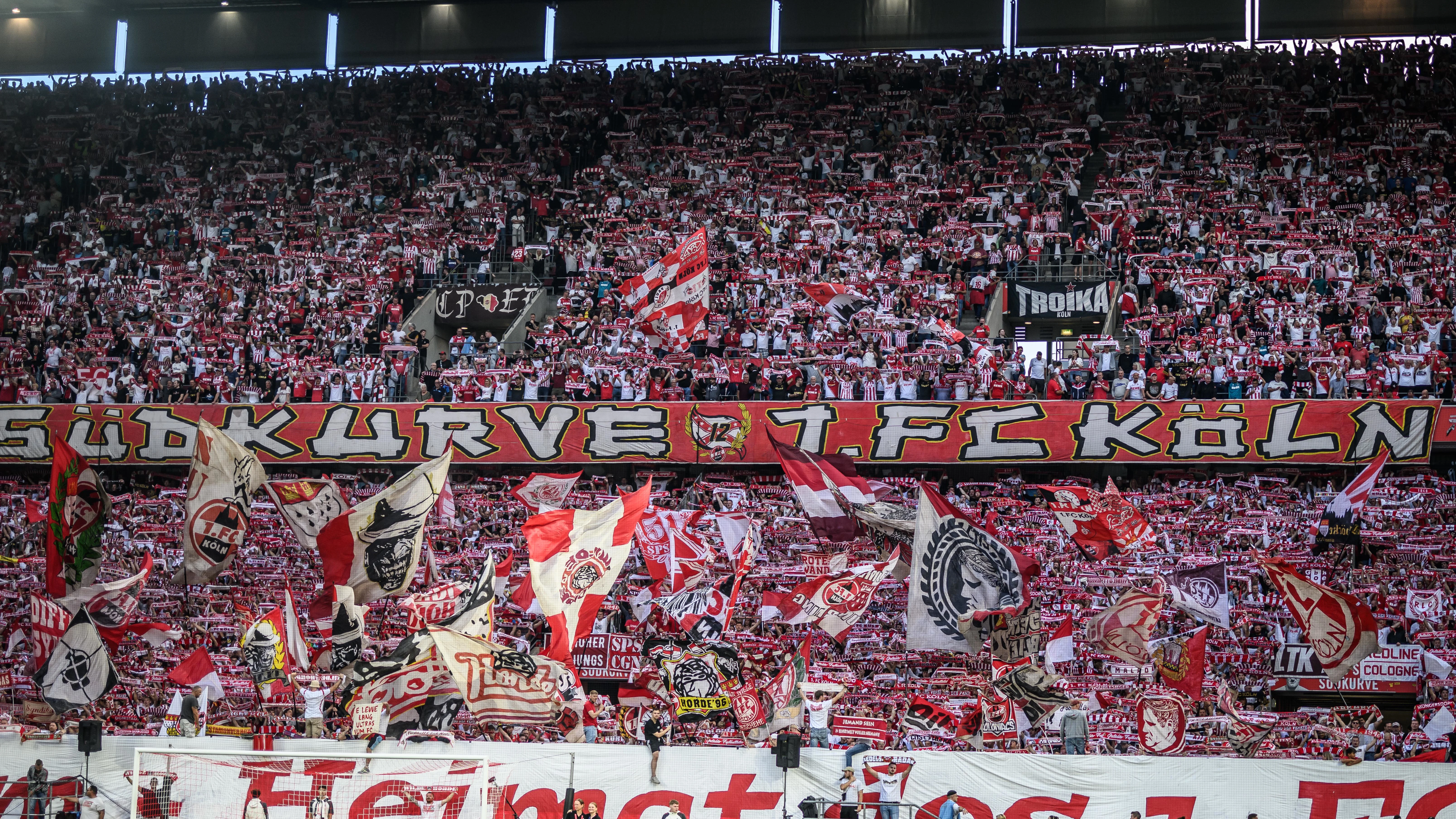 20251121 Fans.jpg