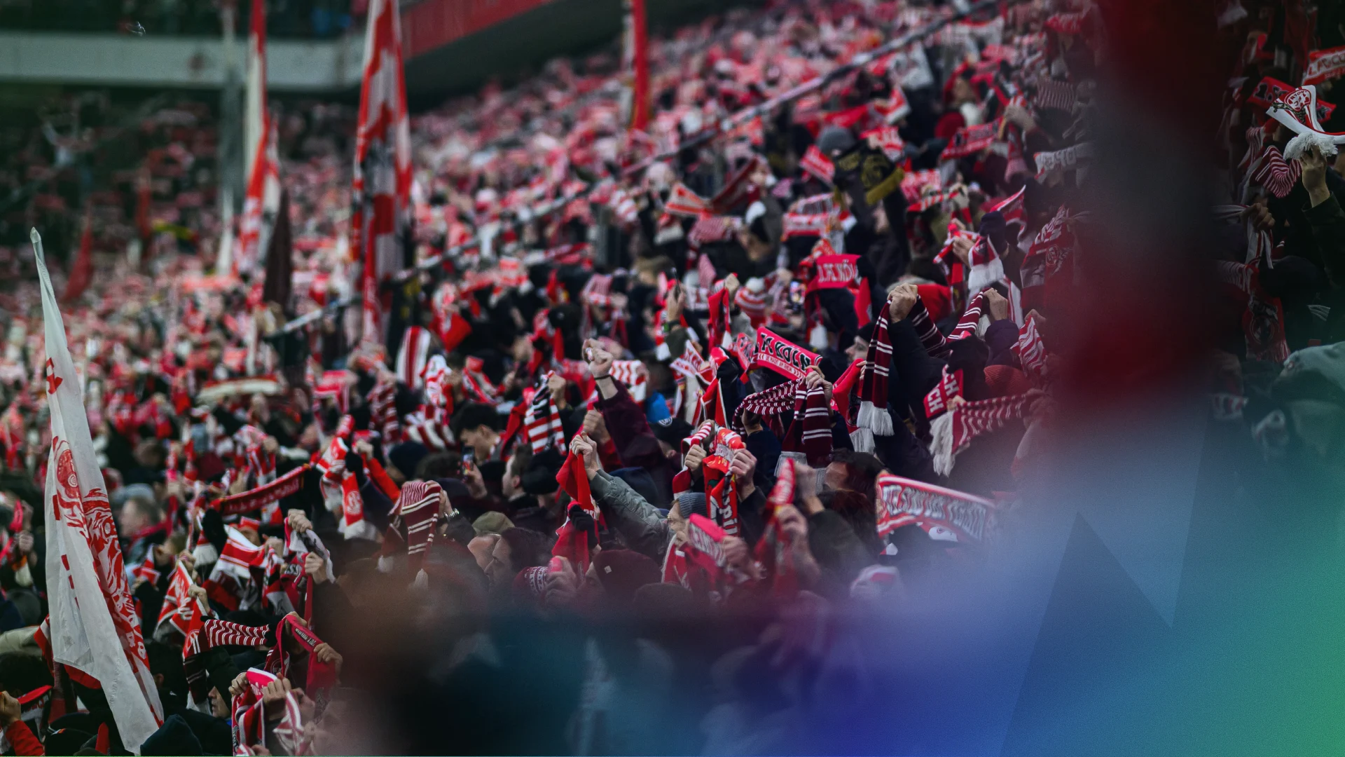 Website Header