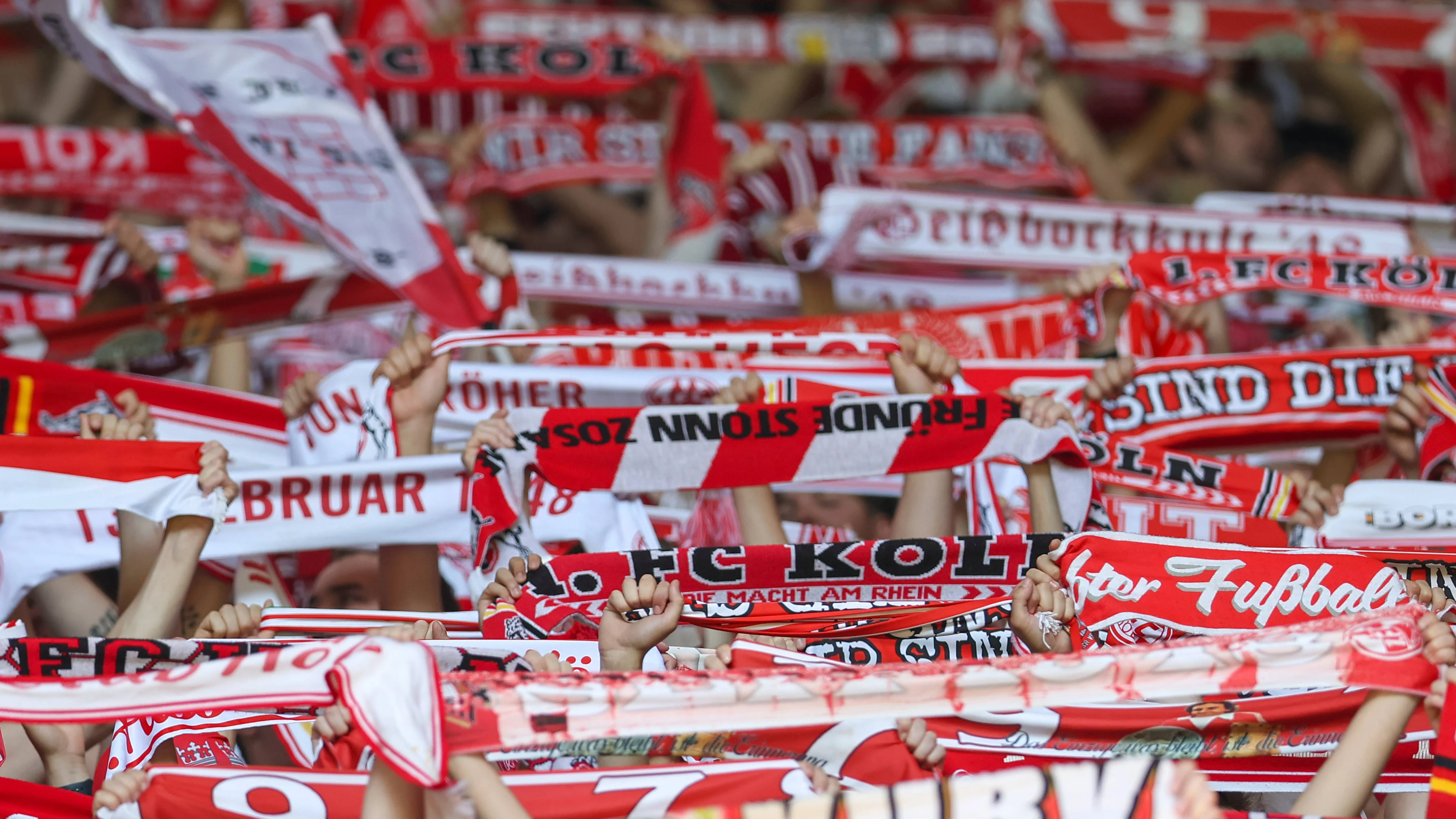 imago1050807605 Kopie.jpg