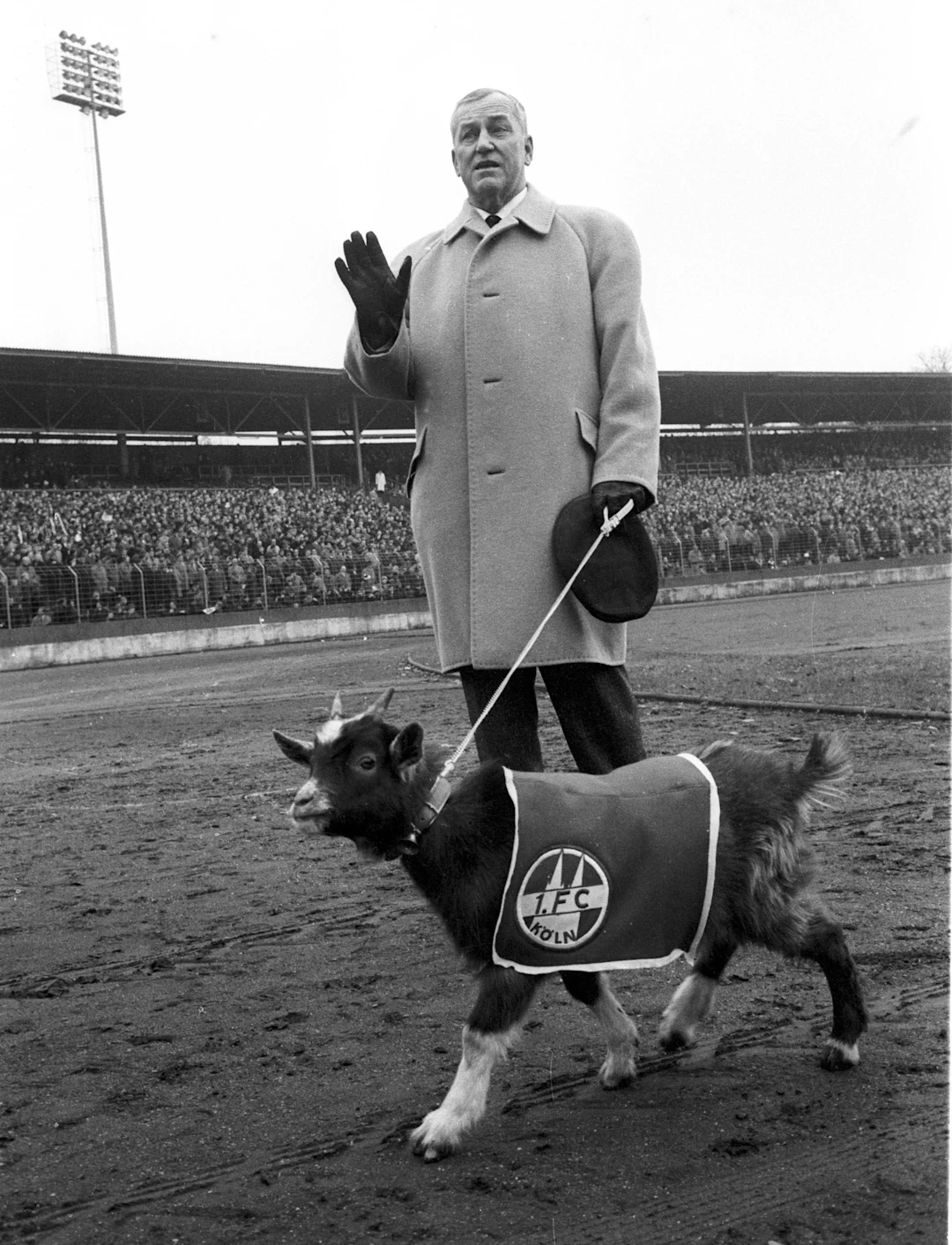 Hennes II. -  November 1966 bis August 1970