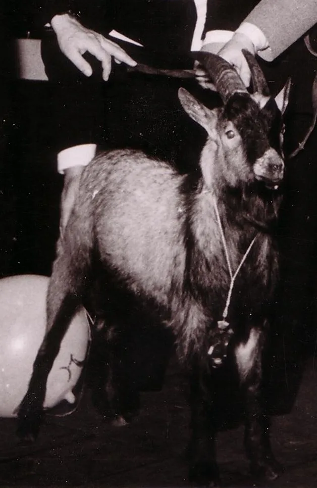 Hennes_I_Porträt.jpg