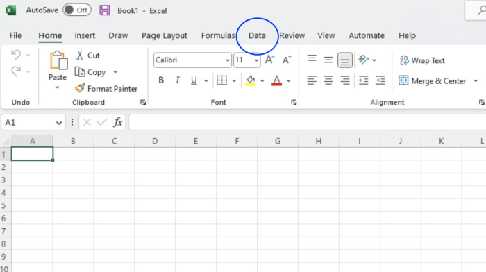 Excel Image 1