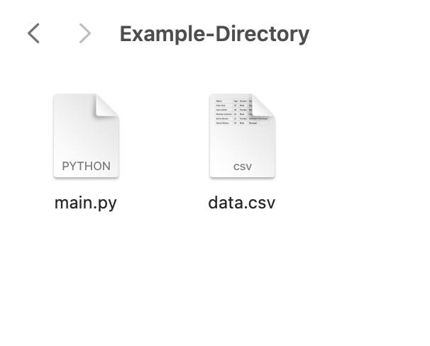 Read a CSV File in Python Pandas