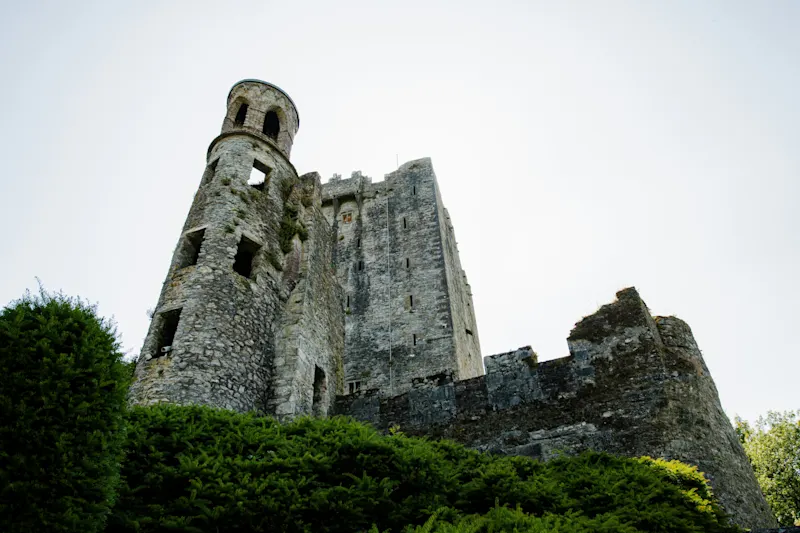  Blarney Castle & Gardens by Jamie Pilgrim on Unsplash