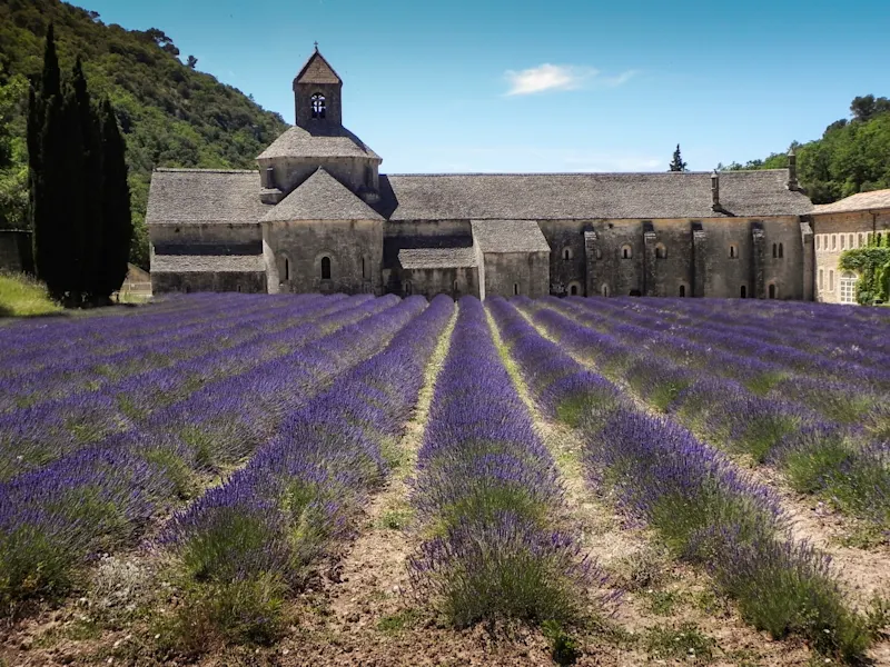 Abbaye Notre Dame De Senanque