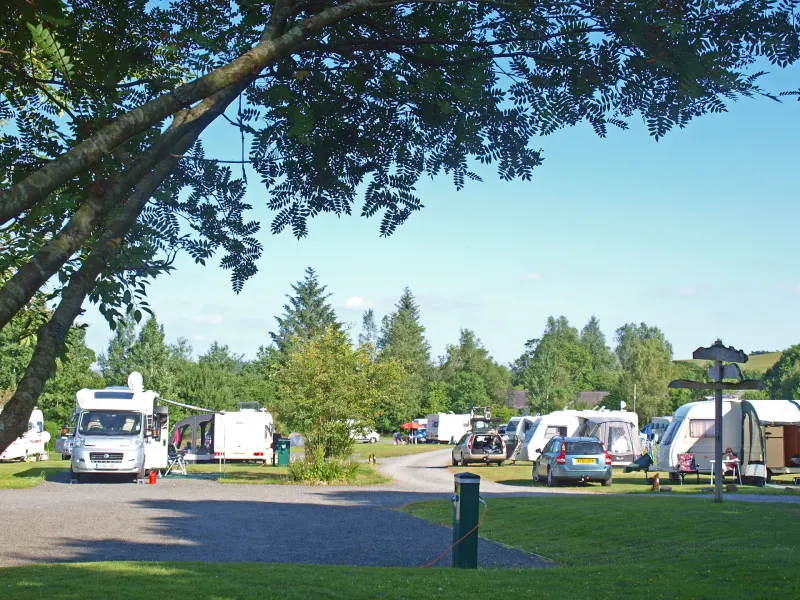 Bellingham Campsite