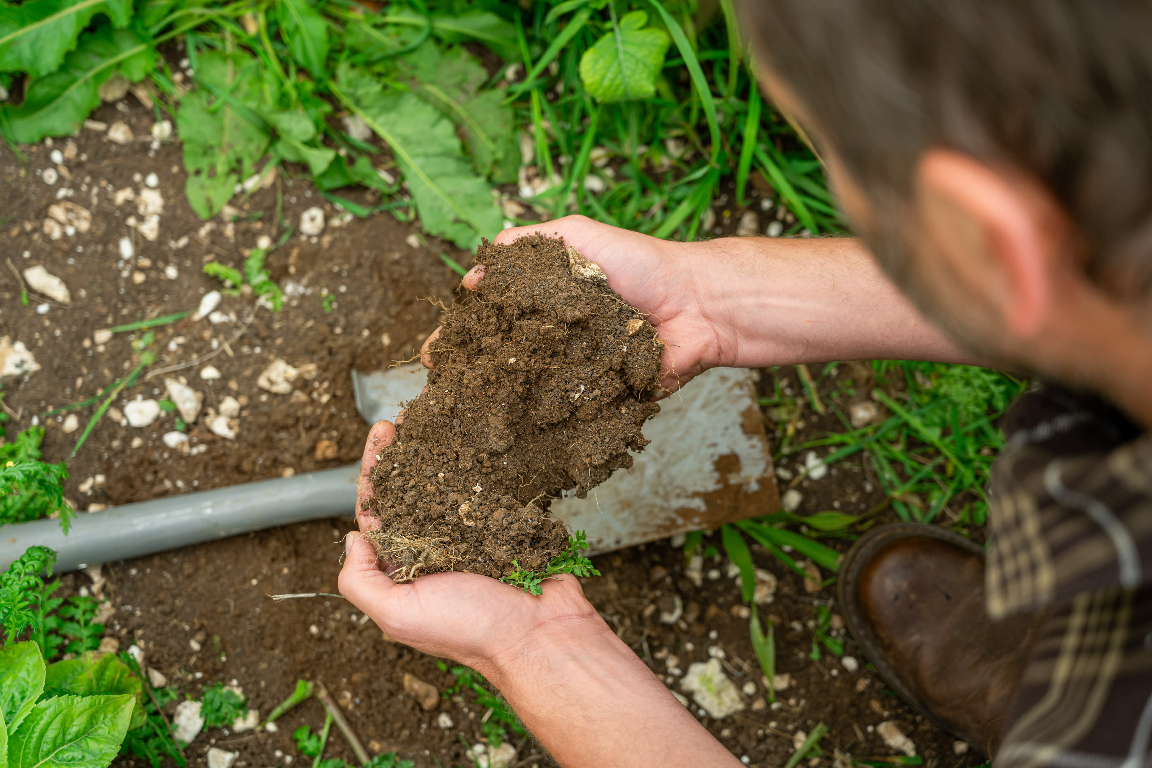 Man holding soil in hands