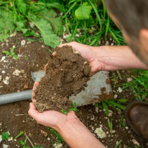 Man holding soil in hands