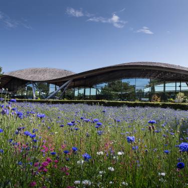 Savill Garden Building with wild flowers in the foreground