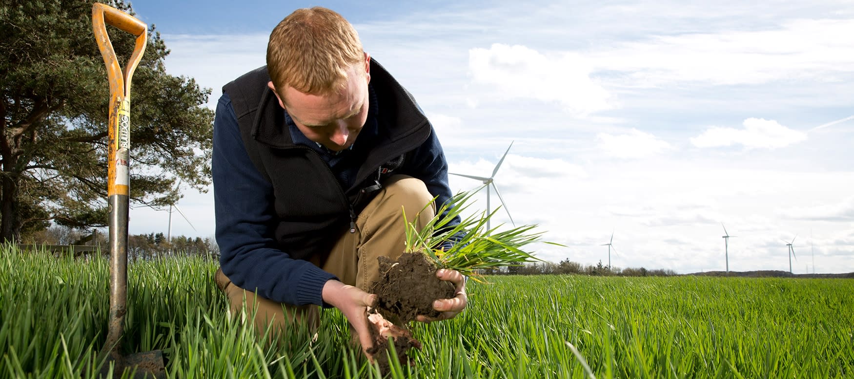 A farmer placing a crop into the ground.