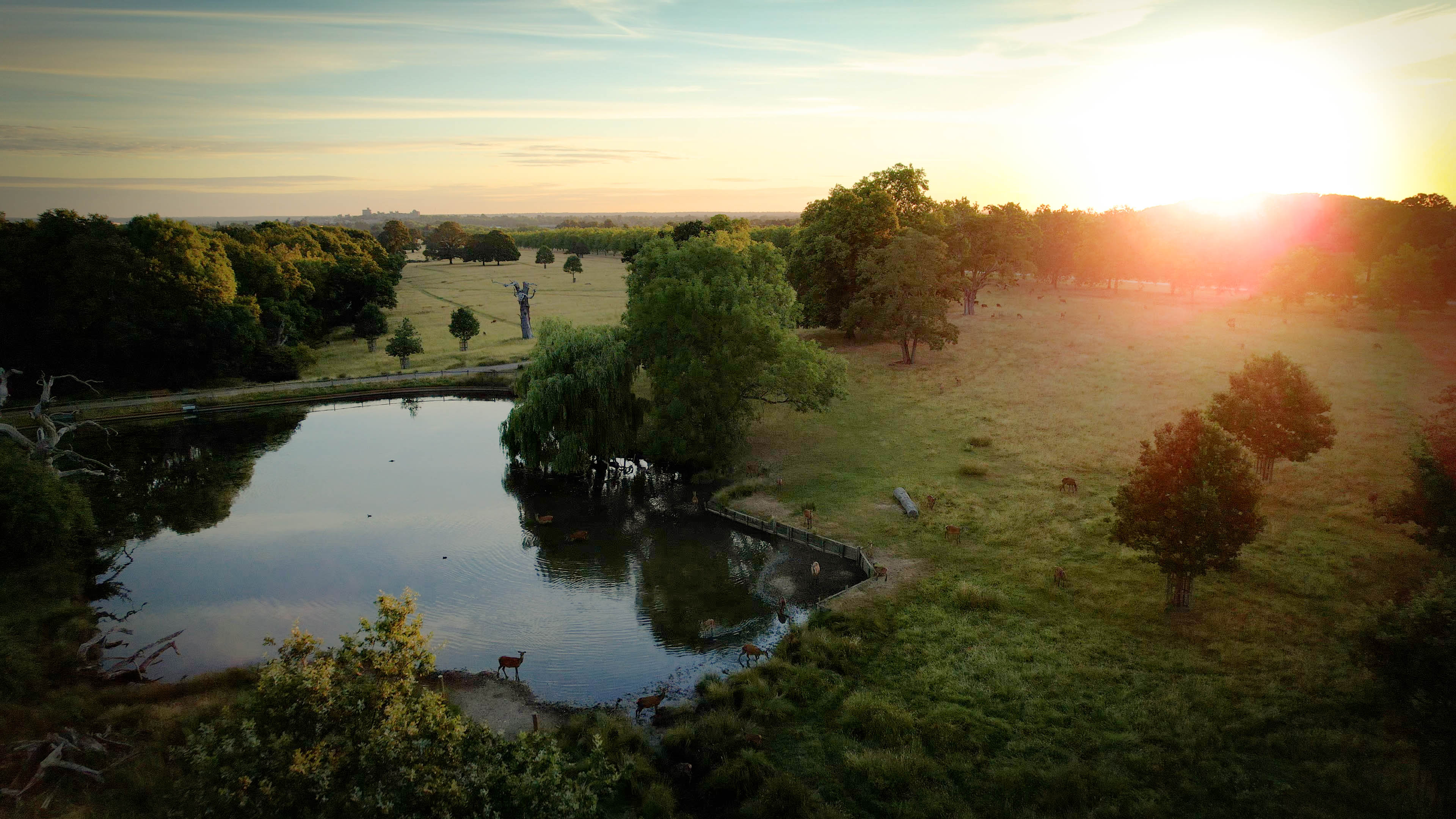 Aerial view of lake and countryside on Windsor Estate
