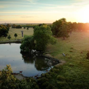 Aerial view of lake and countryside on Windsor Estate