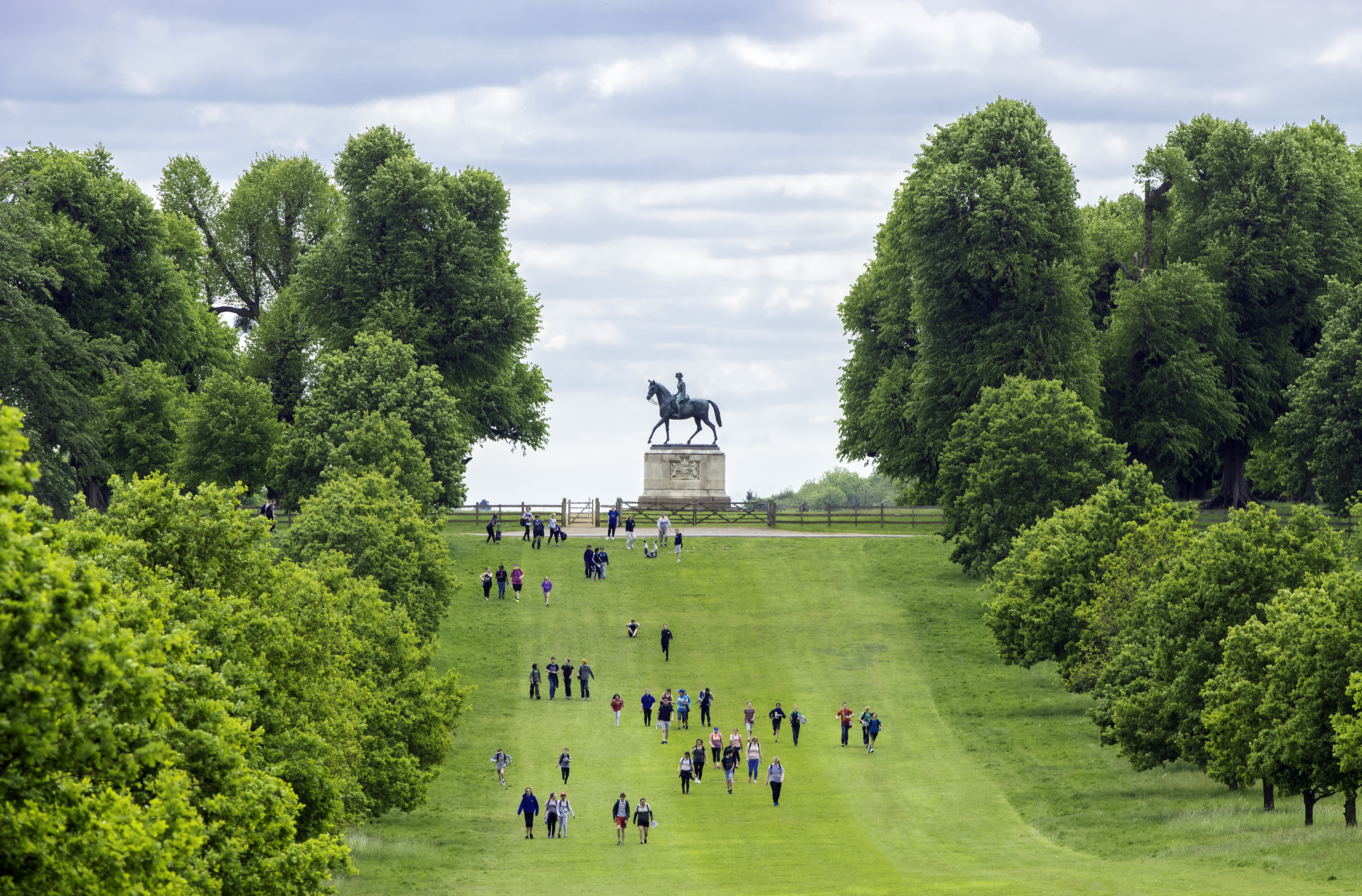 People walking in Queen Anne's Ride in Windsor Great Park