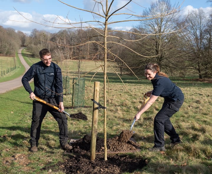 Two people planting a tree in Windsor Park.