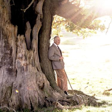 His Majesty The King standing by a tree