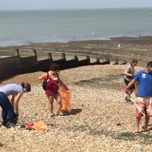 People beach cleaning