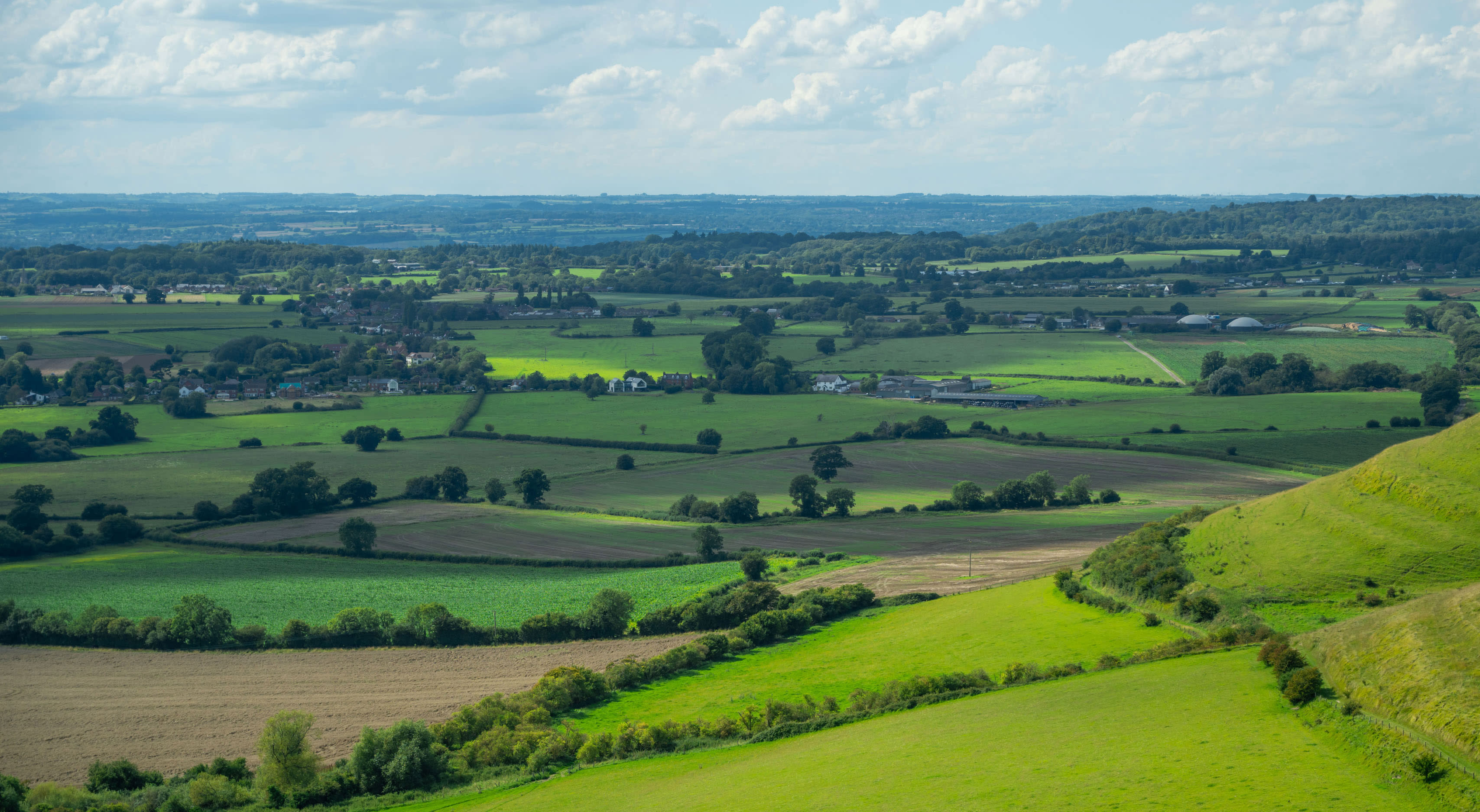 View of landscape including fields and hedgerows
