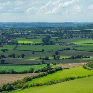 View of landscape including fields and hedgerows