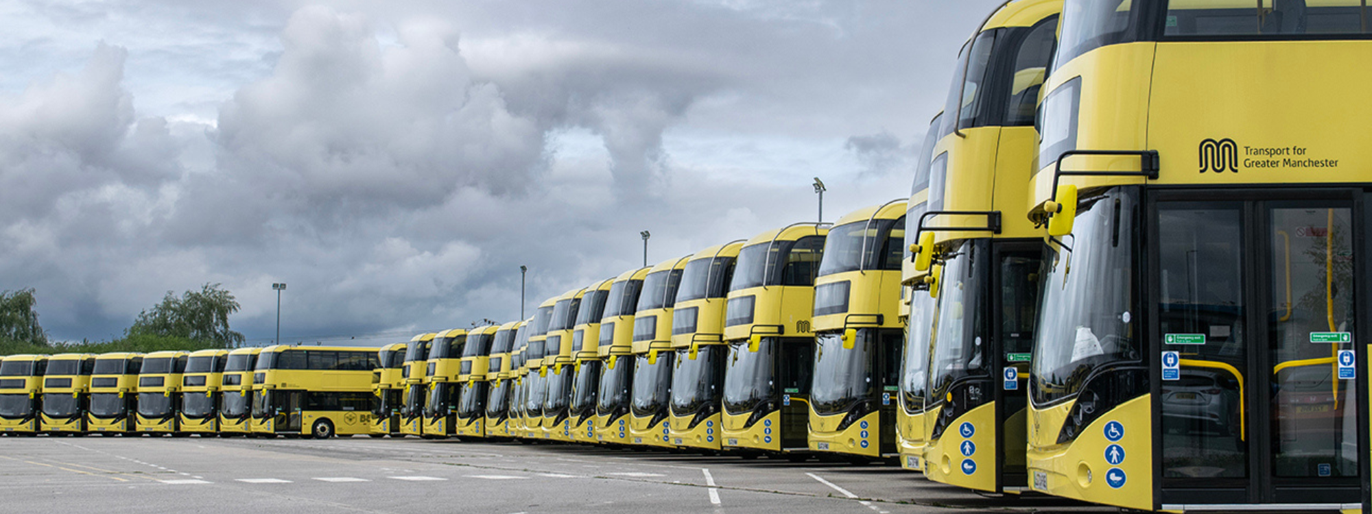 Row of bee network buses