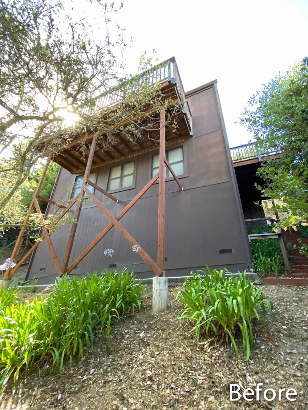 Hardie Board Siding Transformation