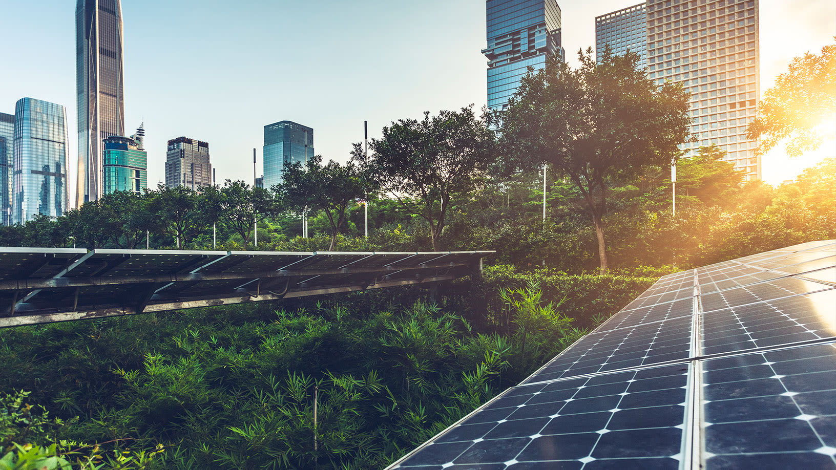 Image of a solar panel in a park filled with trees in the middle of a city on Emissions Reporting