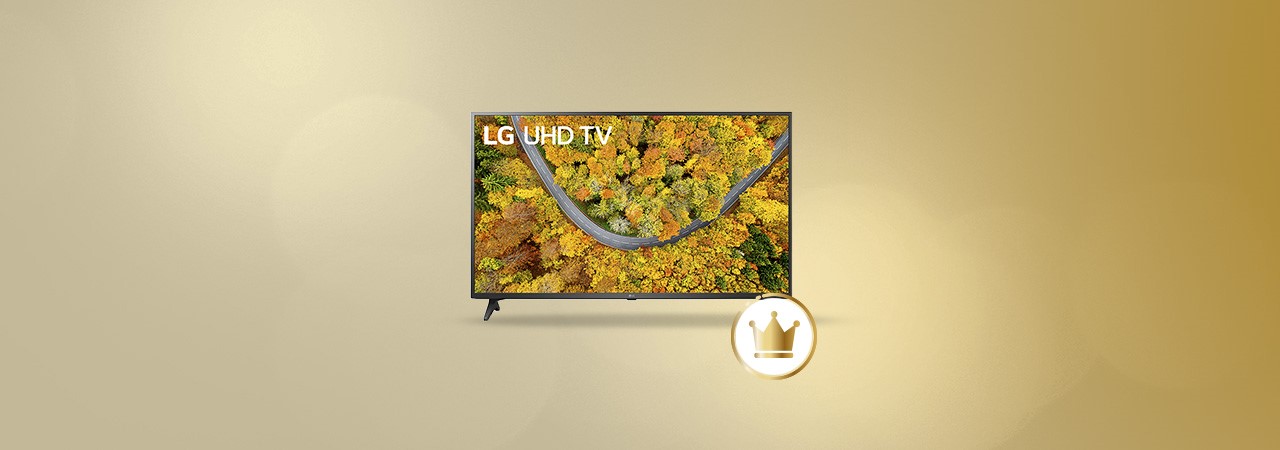 GWS VIPArena Smart TV 65Zoll 1280x450