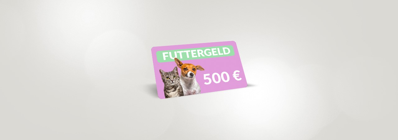 500 € Futtergeld