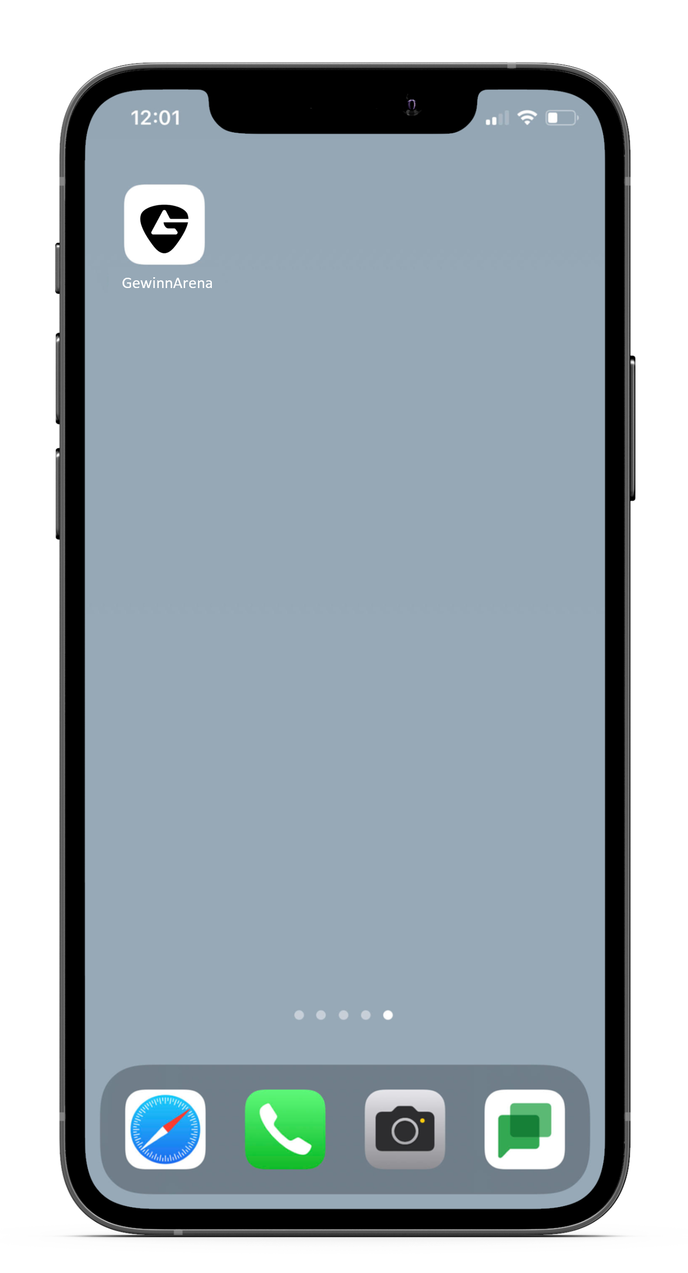 iPhone Screen GA