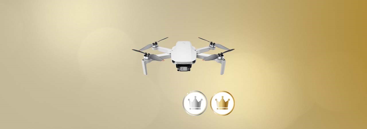 Drohne VIP gold&silver