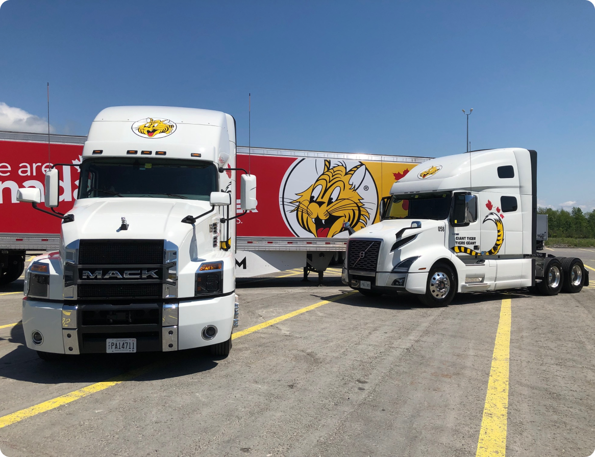 About Us Giant Tiger