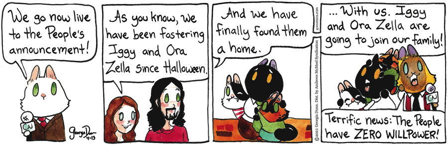 Breaking Cat News by Georgia Dunn for April 13, 2023