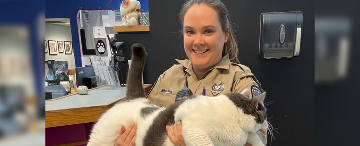 Massive cat weighing over 40 pounds adopted in Virginia