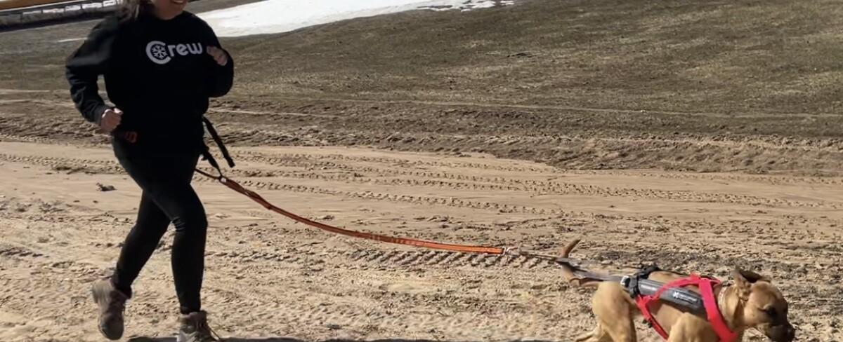 Cannonsburg introduces first-ever Canicross race for dogs & owners