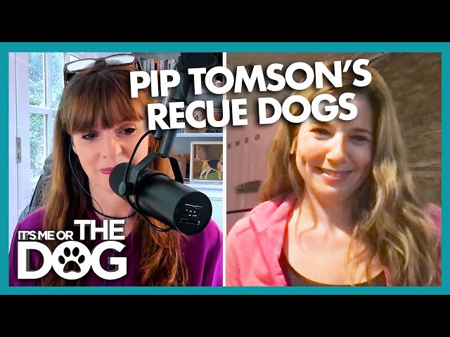 Pip Tomson's Dogs Rescued from Dog Meat Trade | Positively Podcast