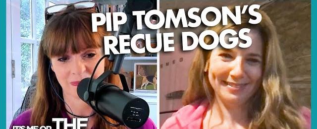 Pip Tomson's Dogs Rescued from Dog Meat Trade | Positively Podcast