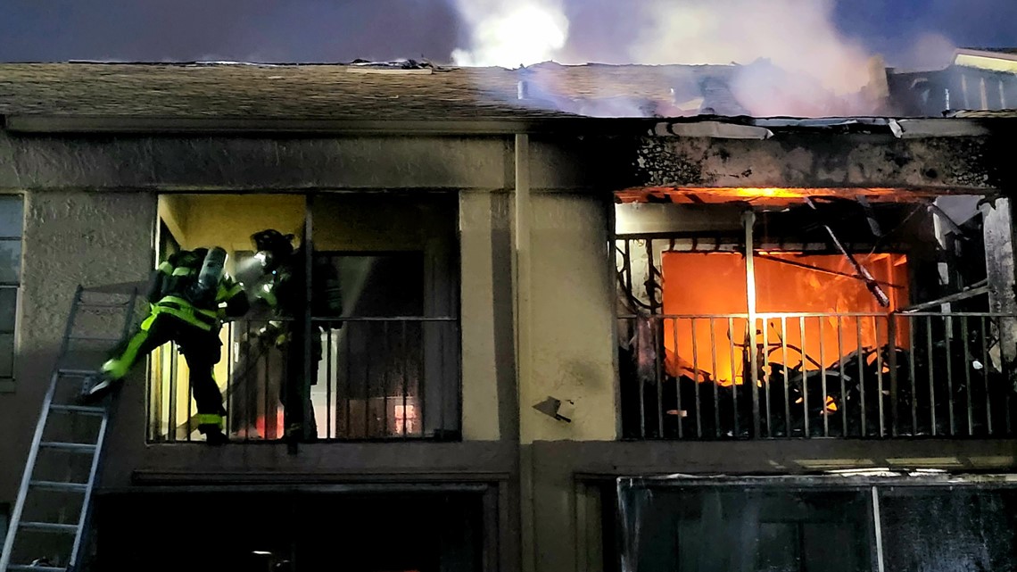 Dogs, cats rescued from Tampa apartment fire