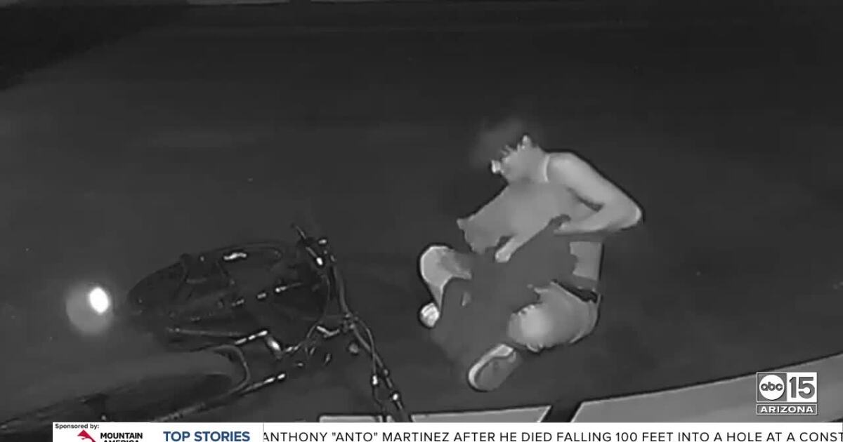 Valley pet owner hoping to catch man who attacked his cat