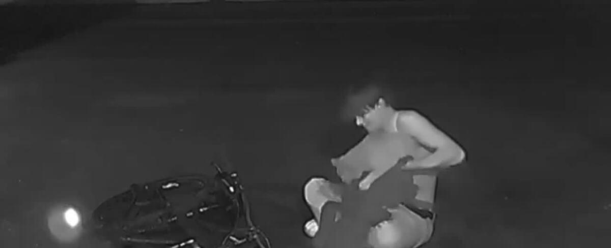 Valley pet owner hoping to catch man who attacked his cat