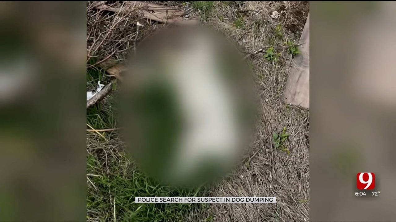 6 Dead Dogs Discovered at Dump Site Underneath Oklahoma City Overpass