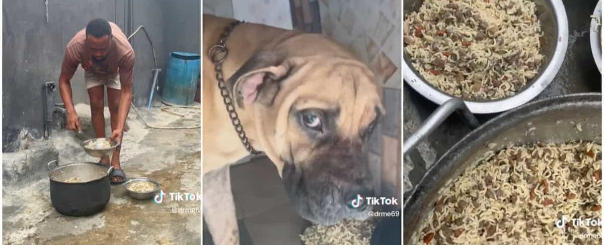 “They Are Enjoying Pass Me”: Nigerian Man Serves His Dogs Noodles, Kebbies & Chicken in Cute Video