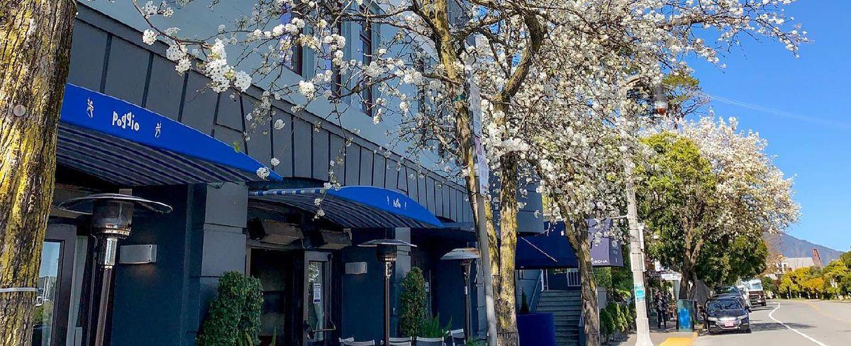 New Apple TV Show ‘The Last Thing He Told Me’ Starring Jennifer Garner Features Sausalito Restaurant Poggio