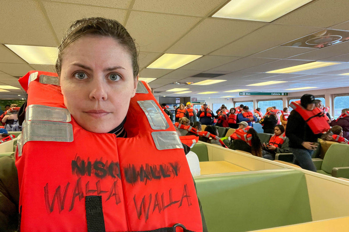 I Got Stuck on That Beached Ferry with My Cat