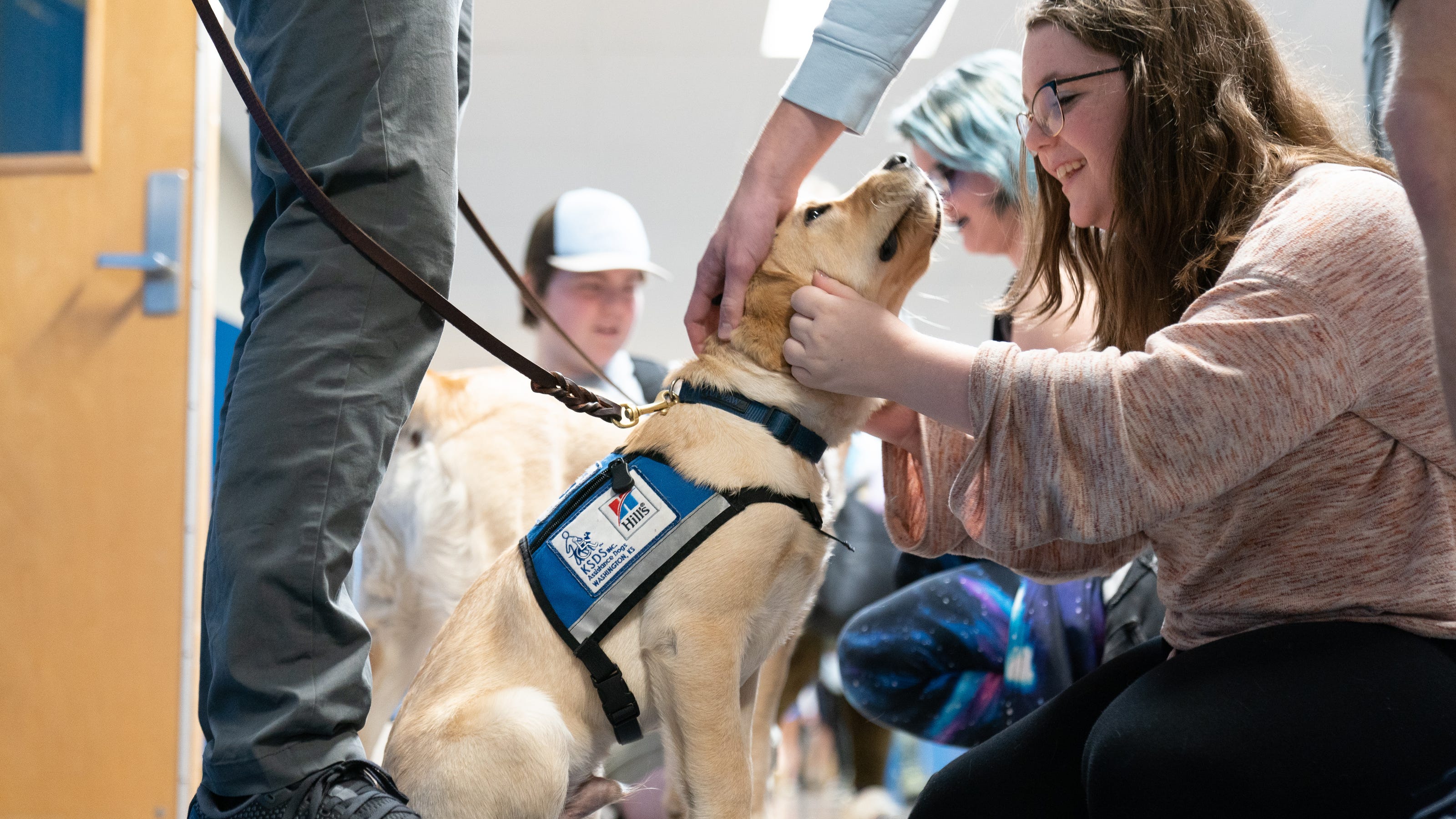 Washburn Rural therapy dogs Sugar and Mordecai give love and care