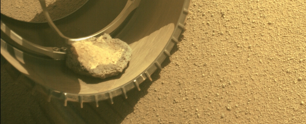 NASA's Perseverance Rover Has Lost Its Martian 'Pet' After More Than a Year