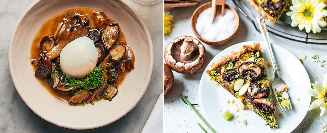 8 Best Mushroom Recipes To Try Now