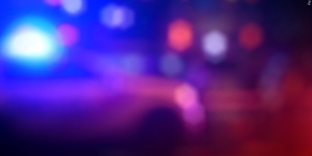 Kentucky woman killed by pack of dogs